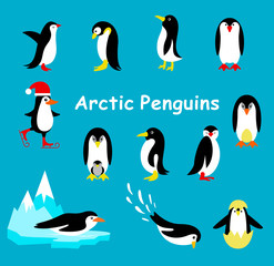 Collection of cartoon penguin isolated on a blue background.