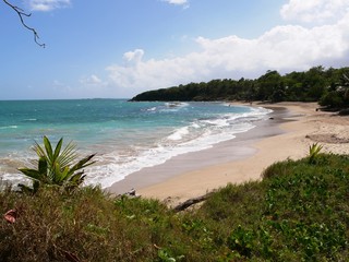Grand cul de sac marin dans le nord Basse-Terre en Guadeloupe