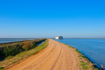 Wide country road between water rice fields, white house in the horizon. Clear sky, autumn day.