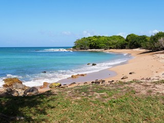 Plage de la Pointe Allegre au Plessis Nogent dans le nord Basse-Terre en Guadeloupe