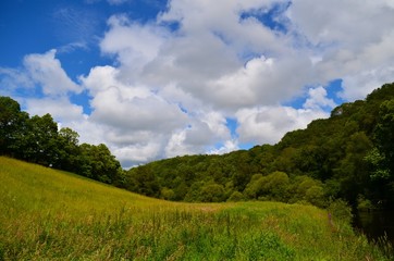 Fototapeta premium paysage