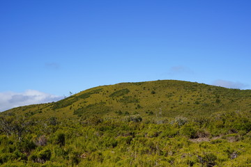 Fototapeta na wymiar Hügellandschaft auf der Hochebene von Madeira