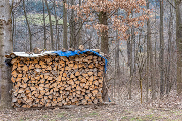  between two trees there is a stack of chopped wood covered with a tarpaulin