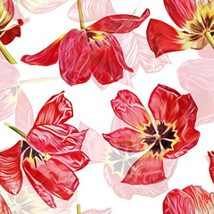 Tulips seamless pattern. Watercolor illustration. Hand painted background.