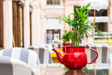 a red flower pot made from a teapot with an ornamental plant stands on a glass table, against the background of other tables in an outdoor cafe