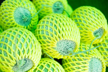 Fresh of melon in yellow supported net for protection