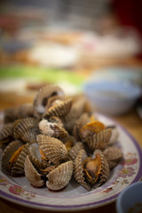 Close up cockle on a white plate