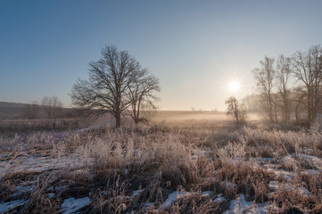 beautiful winter landscape. the rising sun over the trees in a light fog