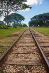 Fototapeta premium Vias del tren