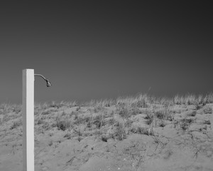 An abstract image of a beach goers shower head behind sand dunes on a deserted beach in winter in the beachtown of Sea Girt New Jersey