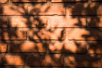 Brick wall with tree shadows. Organic texture