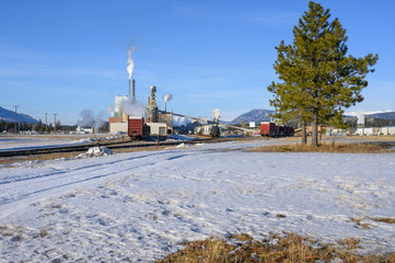 Winter view of pulp mill at Skookumchuck, British Columbia, Canada © jkgabbert