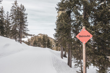 a red sign with the word "skiroute" stands next to a snow-covered ski route