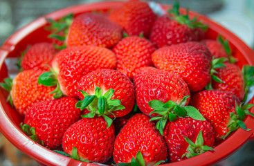 Red strawberry in a bowl