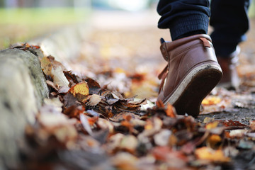 Autumn Park man walking along a path foliage
