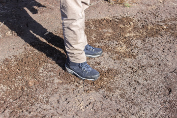 top view of trekking shoes on the lava stone background, male legs