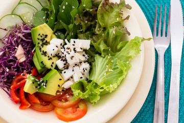 Prato de salada com alface abacate agrião repolho roxo tomate pimentão vermelho pepino e palmito