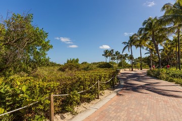 Beautiful landscape view of green park. Gorgeous nature backgrounds. Miami. USA.