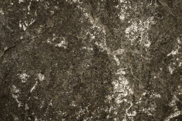 Abstract gray background, stone texture.