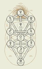 Detailed Sephirothic Tree illustration. Occult illustration of the tree of life Kabbalah scheme.