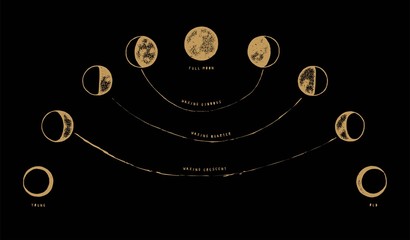 Moon phases illustration with inscriptions vintage occult vector illustration