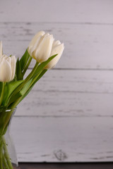 Left of center white tulips on white wood background with copyspace