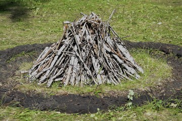 Firewood for a summer campfire