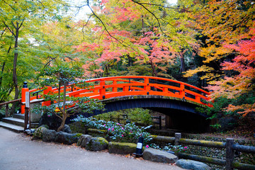 The red bridge in the midst of the autumn leaves