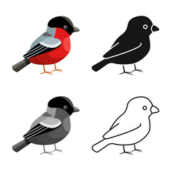 Isolated object of bullfinch and bird logo. Collection of bullfinch and robin vector icon for stock.