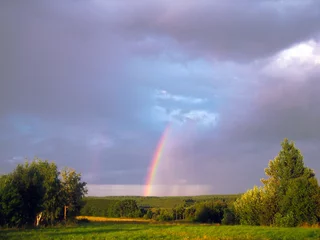 Fotobehang Rainbow in dark cloudy sky above meadow and forest an picturesque natural landscape background © geniousha