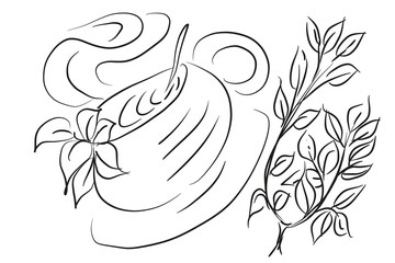 hand drawn illustration of vegetables