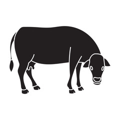 Cow of animal vector icon.Black vector icon isolated on white background cow of animal.