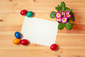 Empty card for your text, easter eggs and primula flower on wooden background. Top view with copy space.
