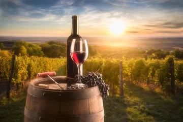  still life with red wine on vineyard background © Ji