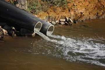 Fototapeten Wald Fluss water river polluted  © Sandro