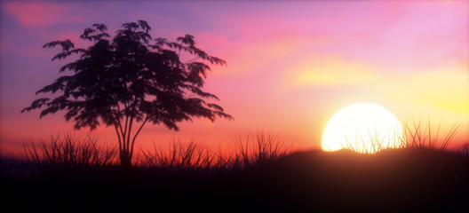 Scenic View Of colorful Sunset on the savannah with big bright sun and one tree, panoramic © Ocelia_Mg