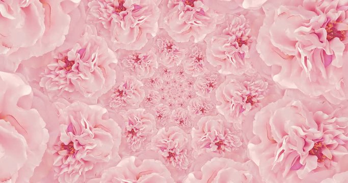 Animation design fashion. Flowers blooming kaleidoscope background