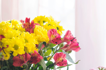 Alstroemeria red and yellow chrysanthemums. Flowers close up