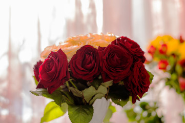 A bouquet of red and light yellow roses in the sunlight in the room.