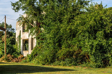 Obraz premium Neosho Falls, KS