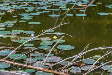Kingman State Fishing Lake