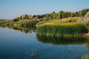 Fototapeta premium Forest river at sunset. Beautiful summer nature landscape. Forest river with reed and plants and trees. Calm river and blue sky. Amazing nature background with lake and forest. 