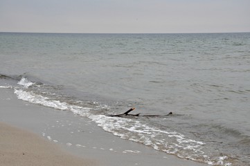Plaża na Cyplu Helskim, Polska
