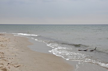plaża na Helu, Polska