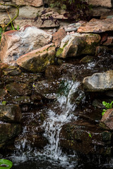 Fototapeta premium Scenic Landscapes