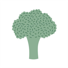 Green broccoli icon