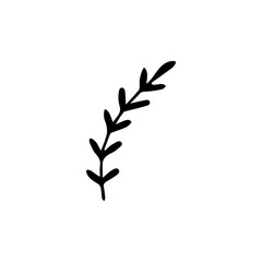 Hand drawn leaves flat vector icon isolated on a white background.
