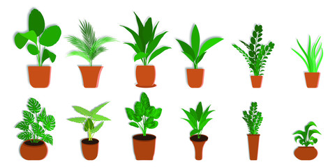 Fototapeta na wymiar set of green plants