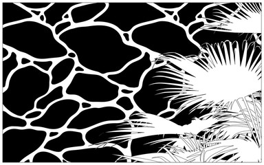 black and white pool ripples and palm tree