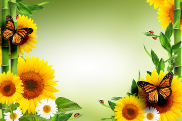 spring floral background with ladybugs and butterflies